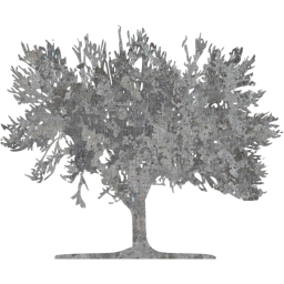 tree 59 icon