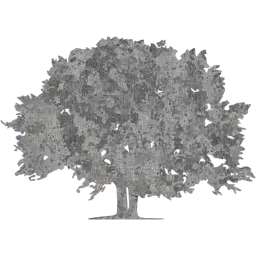 tree 78 icon