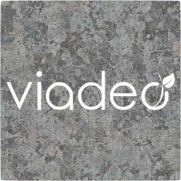 viadeo 4 icon