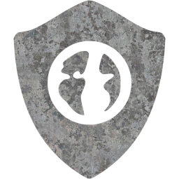 web shield icon