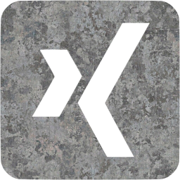 xing 3 icon