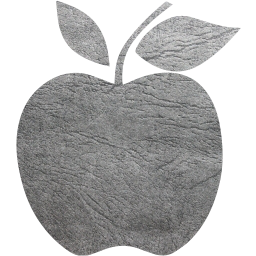 apple 2 icon