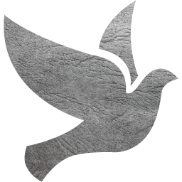 bird 2 icon