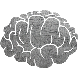 brain 2 icon