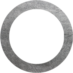 circle outline icon