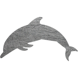 dolphin icon