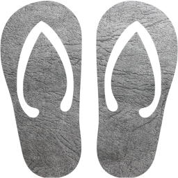 flip flop icon