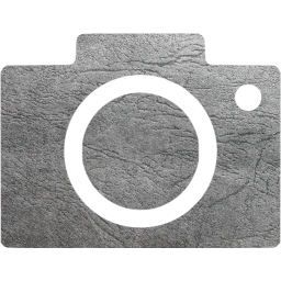 google images icon