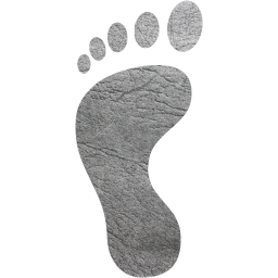 left footprint icon