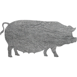 pig 3 icon