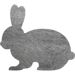 rabbit 2 icon