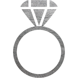 ring 2 icon