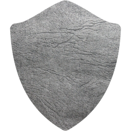 shield icon