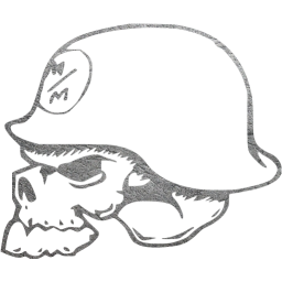 skull 14 icon