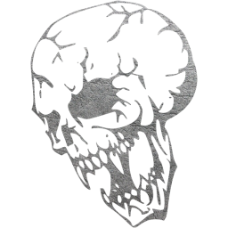 skull 16 icon