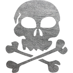 skull 22 icon