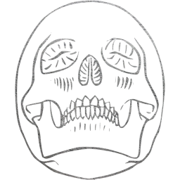 skull 29 icon