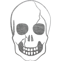 skull 37 icon