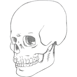 skull 38 icon