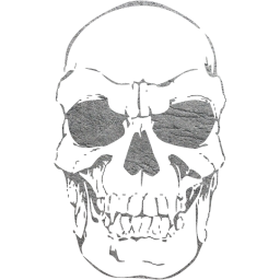 skull 41 icon