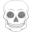 skull 55