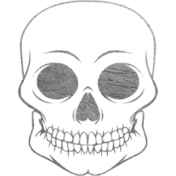 skull 55 icon