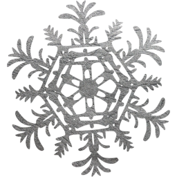 snowflake 25 icon