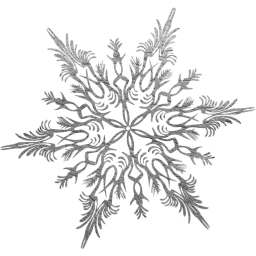 snowflake 41 icon