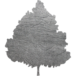 tree 47 icon