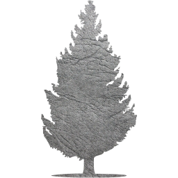 tree 55 icon