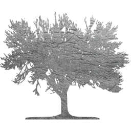 tree 59 icon