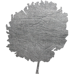 tree 61 icon