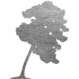 tree 65 icon