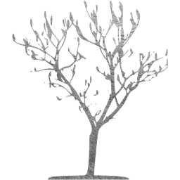 tree 7 icon