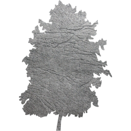 tree 73 icon