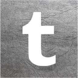 tumblr 2 icon