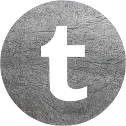 tumblr 4 icon