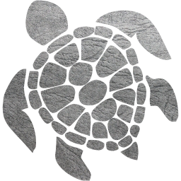 turtle icon