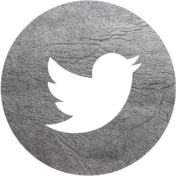 twitter 4 icon