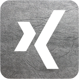 xing 3 icon