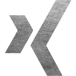 xing icon