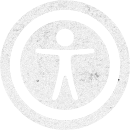 accessibility 2 icon