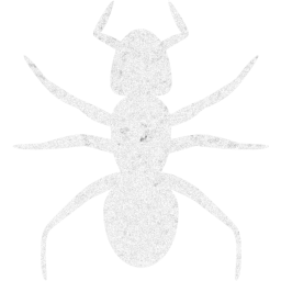 ant 3 icon