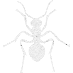 ant icon