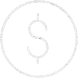 dollar 2 icon