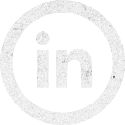 linkedin 5 icon