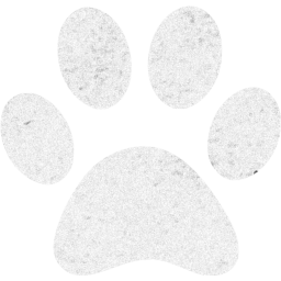 paw icon