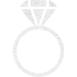 ring 2 icon