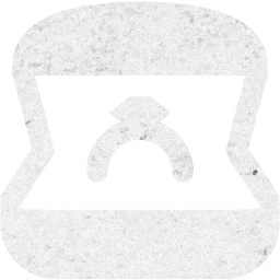 ring icon