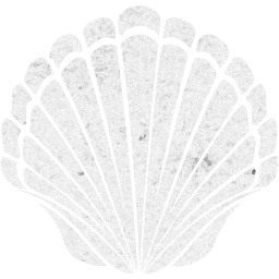 seashell 2 icon